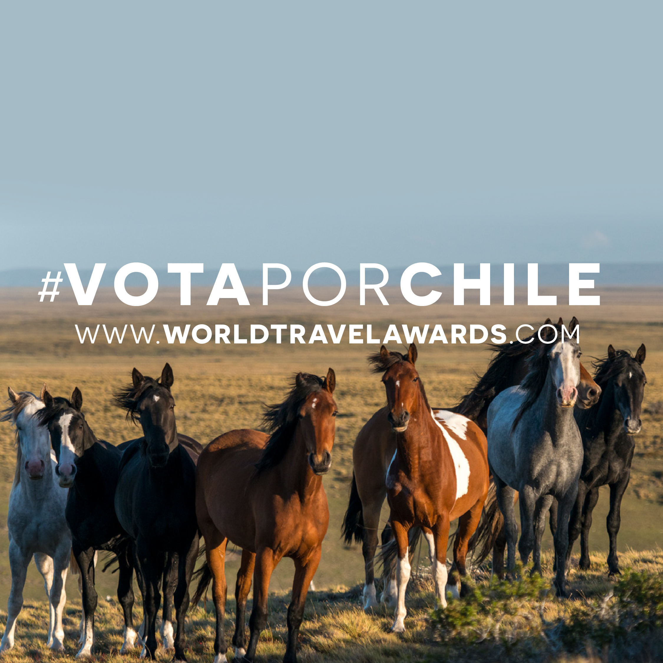 Servicio Nacional de Turismo